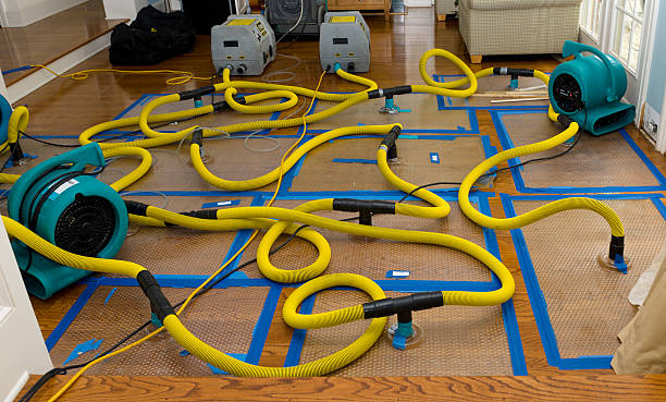Professional Structural Drying And Dehumidification technician working in Perryville, MD